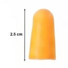 Earplug-6.jpg