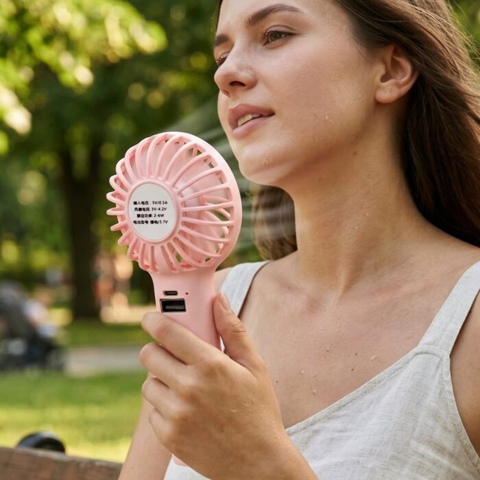 Fan-3.jpg