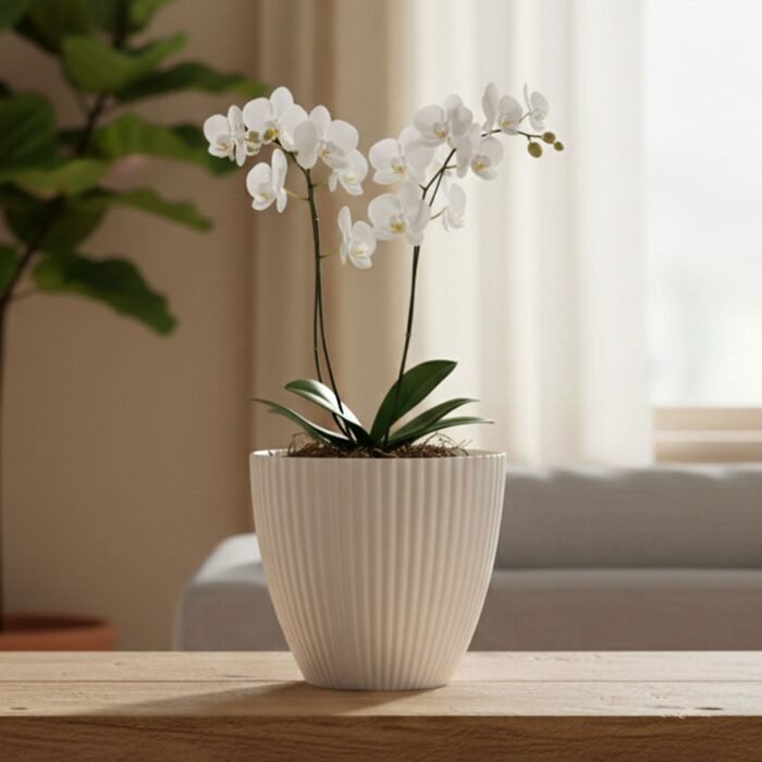 FlowerPot-03.jpg FlowerPot-03.jpg