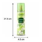 Jasmine-Room-Freshner-size.jpg