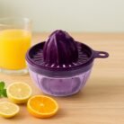 Juicer-01.jpg
