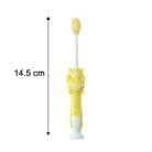 Kdstoothbrush02-size.jpg