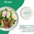 PaperPlate-03.jpg