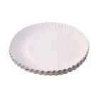 PaperPlate-04.jpg