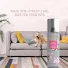 RajnigandhaAirFreshener-05.jpg