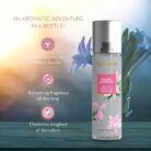 RajnigandhaAirFreshener-06.jpg