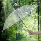 Umbrella-03_96bbe1bf-68f9-4afe-b61a-fe9c0df24ec9.jpg