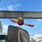 FlyingBird-03.jpg