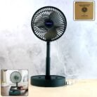 FoldingFan-WOSKU-001.jpg