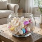 Seashells-03.jpg