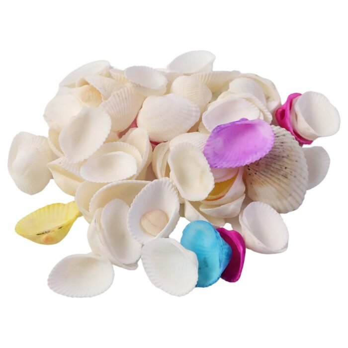 Seashells-04.jpg