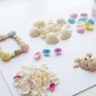 Seashells-05.jpg