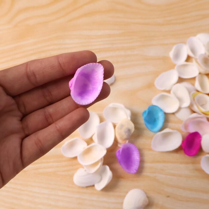 Seashells-06.jpg